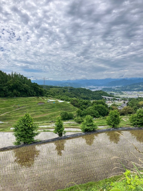棚田画像